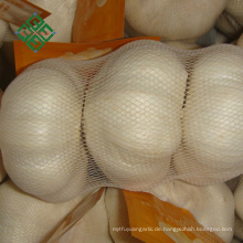 3p chinesischer natürlicher Knoblauch weißer Knoblauch frisch